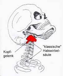 Die Halswirbelsaule