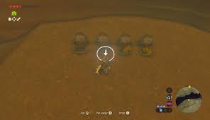 Gerudo Korok Seed Locations Zelda Dungeon