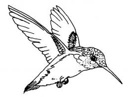 Free printable coloring pages for kids! Birds Free Printable Coloring Pages For Kids