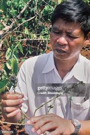 84 Tiem Stock Photos, High-Res Pictures, and Images