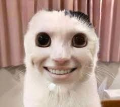 Introducing the main character of my OC universe, Zane! :  r/OriginalCharacter