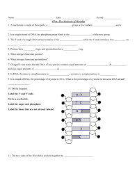 Dna Nucleotides Worksheet Recherche Google Worksheets Dna Education