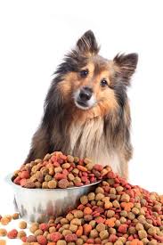4health Dog Food Reviews