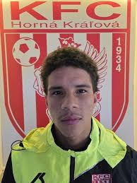 Angelo Alessandro Ibarra Guerrero