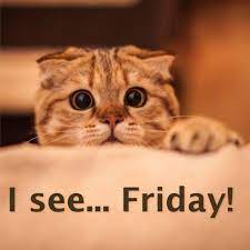 101 Funny Thursday Memes That Work Day And Night To Make You Happy Thursday Meme Funny Feelings Thursday Humor