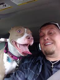 Burger King locations with Paw Patrol toys in kids meals?