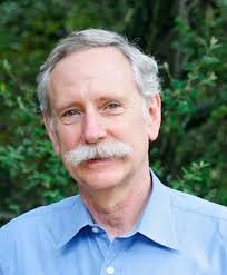 Thinfluence: Walter Willett, MD, DRPH, Malissa Wood, Dan Childs, MD, Victor  Bevine: 9781522693802: Amazon.com: Books