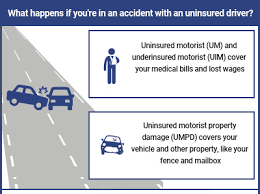 Maybe you would like to learn more about one of these? Importance Of Um And Uim Insurance Coverage For Your Vehicle