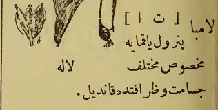 ÙØ§ÙØ¨Ø§ Lamba Ingilizce Ne Demek ÙØ§ÙØ¨Ø§ Anlami What Does It Mean Lamba ÙØ§ÙØ¨Ø§ Turkish Ottoman