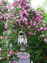Wunderschoner Sitzplatz Sitzplatz Im Garten Rosenbogen Und Garten