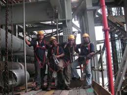 Ikan paus nabi yunus masih ada; Welcome To Isti Ilham Website