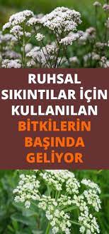 pin on bende