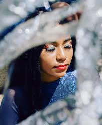 Howard University Flashy Flags