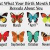 Butterflies will drink any liquid (especially if it is high in sugar or salt), but they primarily drink nectar from flowers or juices from fruits. Https Encrypted Tbn0 Gstatic Com Images Q Tbn And9gctkwibrbv1obxtl4diaum8hfdty84xoo6z4oxoqfvhhq3v9 3bx Usqp Cau