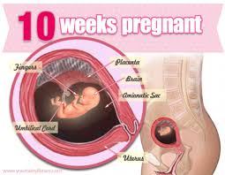 Pin On The Weeks Of Pregnancy