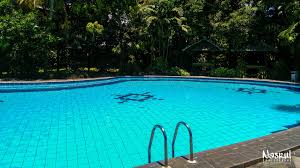 Berenang Di Kolam Renang Hotel Winotosastro Jogja Kolam Renang Kolam Berenang