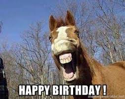 Happy Birthday Horse Memes