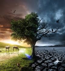 Photo Manipulation By Thiago Storino Downgraf Com Surreal Art Photo Manipulation Art Photography