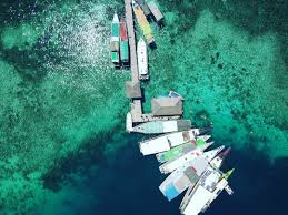 Keindahan Taman Nasional Pulau Komodo Selalu Punya Cara Untuk Memikat Hati Para Traveller Untuk Berkunjung Lautan Biru Di Tempat Yang Satu Ini Salah Satu Pantai