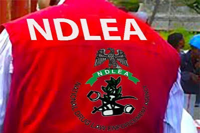 Combating Drug Abuse: NDLEA Chief says Collaborating with Youth is Key – NASARAWA BROADCASTING SERVICE