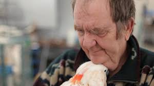 Parrot Island (2012)