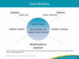 Nurse Driven Early Mobility Protocols Facilitator Guide