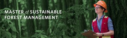 Master of Sustainable Forest Management | UBC Forestry