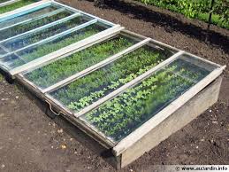 Faire Ses Semis Sous Abri