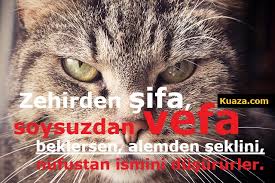 Resimli Guzel Sozler En Guzel 100 Resimli Sozler Kuaza