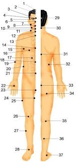 Human Body Pressure Points Body Pressure Points Pressure