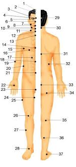 human body pressure points body pressure points pressure