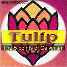Tulip The 5 Points Of Calvinism Chart