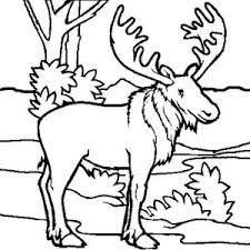 Moose coloring book is a collection of children's pictures with the closest relatives of deer. Free Online Coloring Page To Download Print Part 111