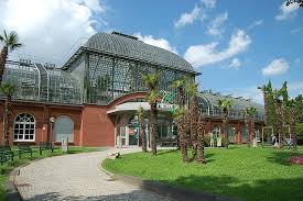 Alternative Zum Palmengarten Der Kostenfreie Botanische Garten Nebenan Palmengarten Und Botanischer Garten Frankfurt Am Main Reisebewertungen Tripadvisor