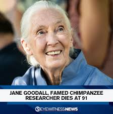 A big loss for our chimpanzee friends.