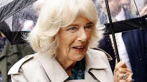 Reine Camilla : le message caché derrière la robe choisie par l'épouse du  roi Charles III pour leurs 20 ans de mariage va vous étonner