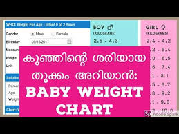Baby Weight Chart Month By Month Malayalam Youtube