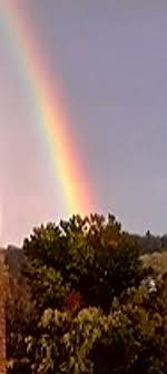 Elaine Spahn Obituary (2020)