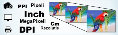 Dimensiunea fotografiei este de 3 x 4 cm; Dimensiuni De Printare A Fotografiilor In Functie De Rezolutie Printmag