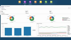 When you add pacejet, the 2017 suitecloud partner of the year, you enhance netsuite's. Oracle Netsuite Suitesuccess Planning And Budgeting Youtube
