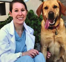 The MSPCA-Angell and Northeast Animal Shelter Merge Technology and Staffing  Advances in the Past Year