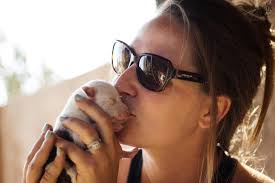 Perfil de Pretty Horses of Baja Rescue