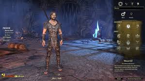 Racial Builds Guide Of The Elder Scrolls Online