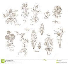 Drawing Of Flowers With Name Max Installer Learn to draw still life compositions.