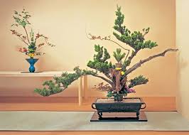 Read more about our highly qualified teachers, megumi and alex. Ikebana All You Need To Know About Japanese Flower Art