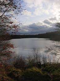 Farecompare'is leiad ka soodushinnaga hotellid brereton heath local nature reserve. A Christmas Walk At Brereton Heath Nature Reserve Cheshire