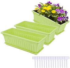 A window box (sometimes called a window flower box or window box planter) is a type of flower container for live flowers or plants in the form of a box attached on or just below the sill of a window. Hopestar 3 Packs 17 Inches Window Boxes Planters Plastic Flower Box Vegetable Planter For Windowsill Patio Garden With 15 Pcs Plant Labels Amazon Ae