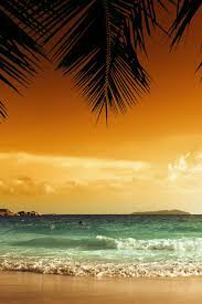 Check spelling or type a new query. Sunset Beach Green Iphone 8 Wallpaper Iphone8wallpapers Com