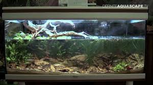 Concept For Grass Biotipe Biotope Aquarium Aquarium Design Aquarium