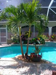 Pin By Michelle Amaral On Tropical Poolside Landscaping Backyard Pool Landscaping Tropical Pool Landscaping Inground Pool Landscaping